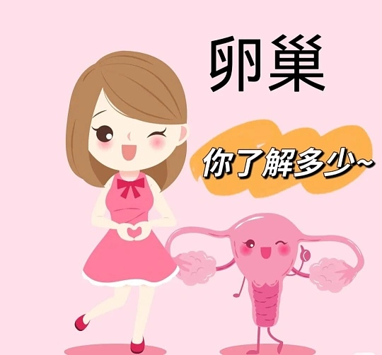 浅谈“沉默的杀手”——卵巢肿瘤