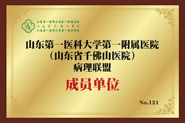 山东省千佛山医院病理联盟